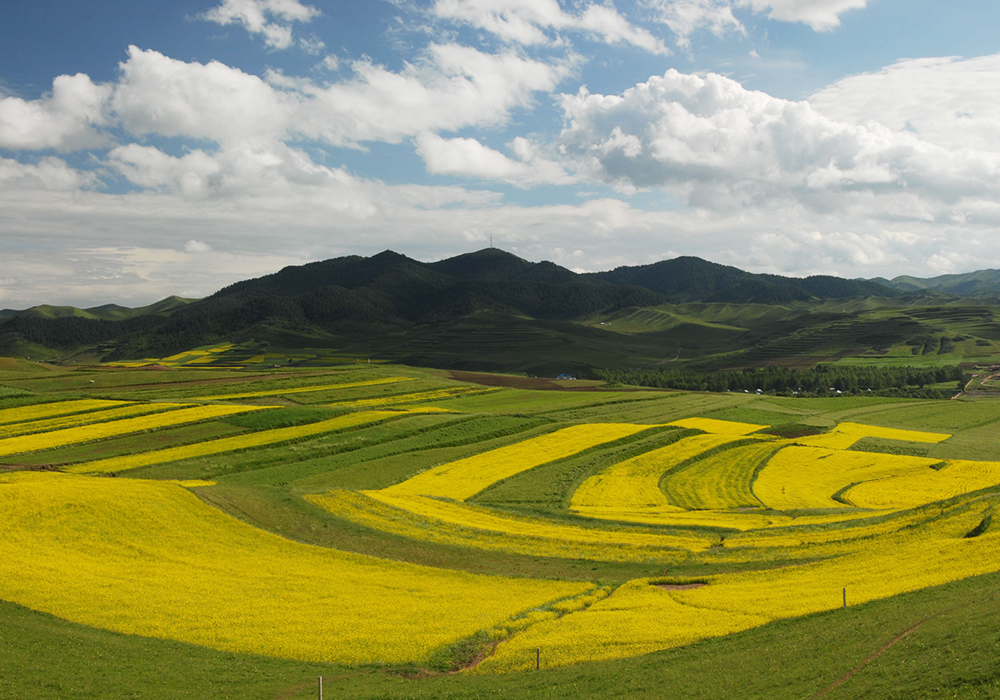 甘南州征地補(bǔ)償標(biāo)準(zhǔn)測(cè)算成果調(diào)整及平衡項(xiàng)目